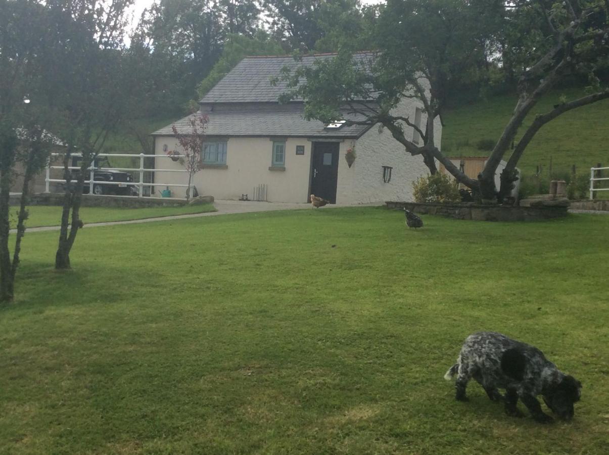 The Little Cow Shed Villa Swansea Eksteriør billede