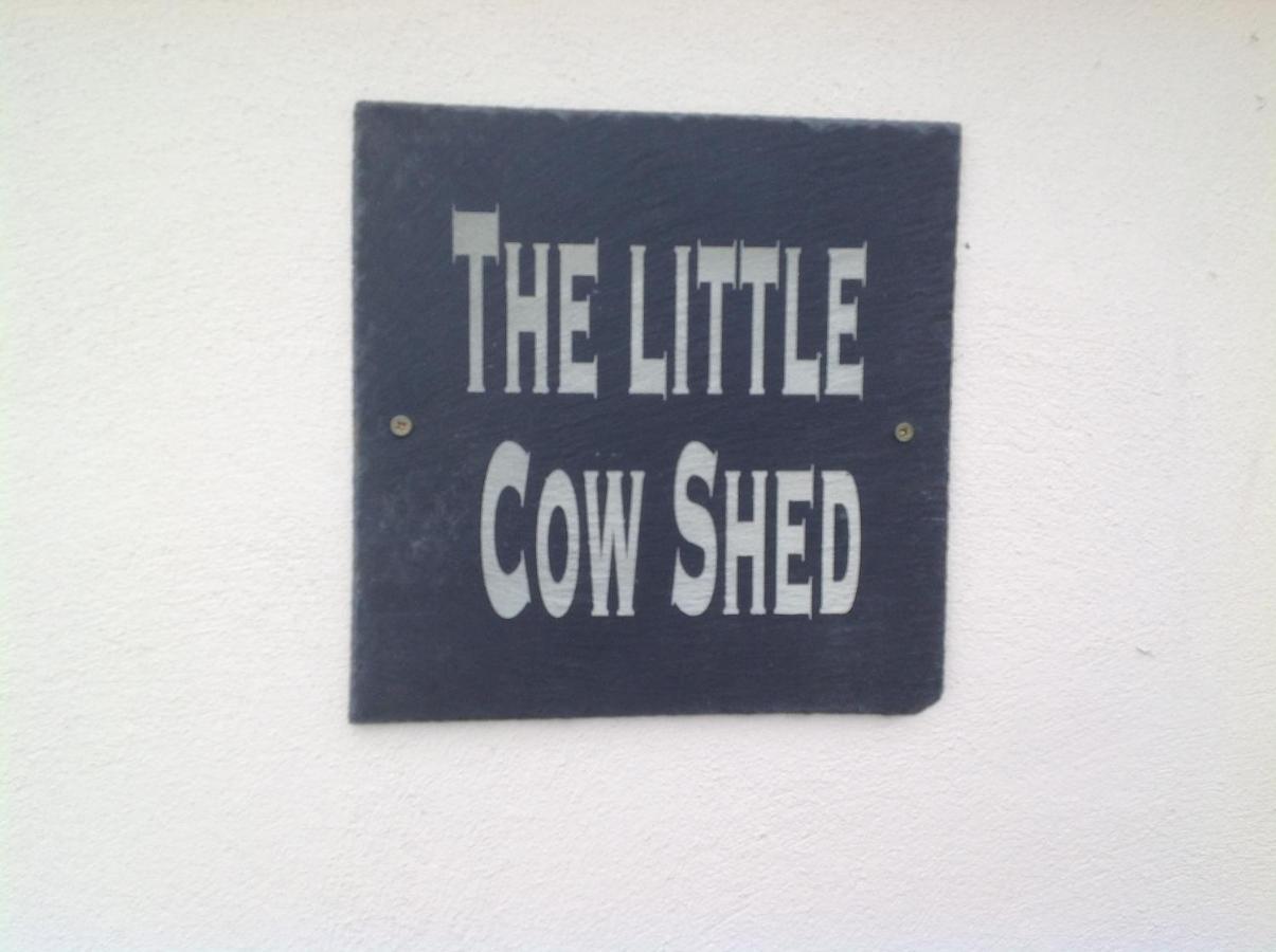 The Little Cow Shed Villa Swansea Eksteriør billede